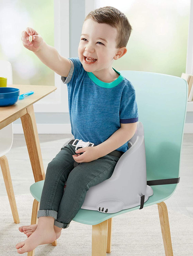 Fisher-Price Portable Toddler Booster Seat for Dining Table